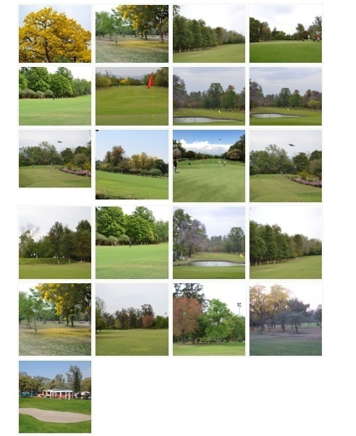 Flora & Fauna panel 4